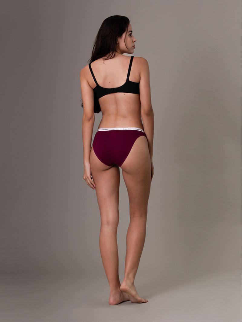 Pantys-clasicas---Modern-Logo